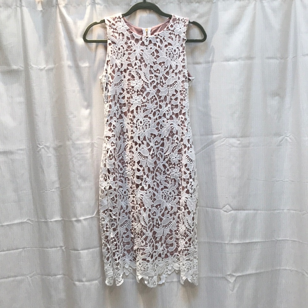Stunning Lace Sheath Dress - Picture 2 of 7